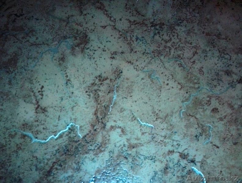  продам линолеум - Изображение #1, Объявление #1450715