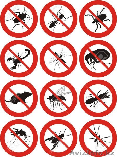  Дезинcекция и дератизация Рудный - Изображение #1, Объявление #1561295