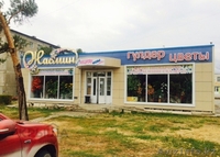 Продам прибыльный действующий магазин - Изображение #1, Объявление #1389159