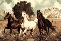 Ковры "Мебель Парк". Интернет магазин: "100kovrov.kz" - Изображение #5, Объявление #1537077