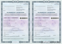 Миграционные сервис - Изображение #2, Объявление #1637089