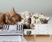 Фотошторы, фотообои, фрески - Изображение #8, Объявление #1695102