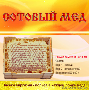 мёд оптом! ищем партнеров в Казахстане! - Изображение #1, Объявление #875418