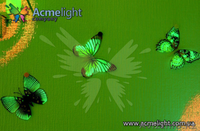 Приглашаем к сотрудничеству дилеров в г. Рудный - Изображение #4, Объявление #972798