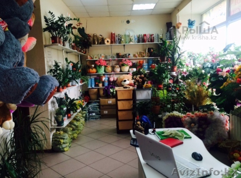 Продам прибыльный действующий магазин - Изображение #2, Объявление #1389159