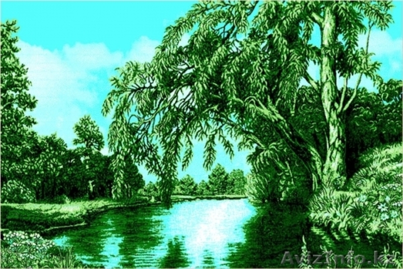 Ковры "Мебель Парк". Интернет магазин: "100kovrov.kz" - Изображение #6, Объявление #1537077