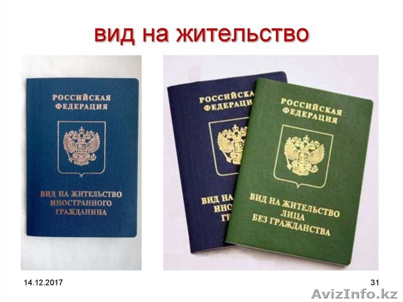 Миграционные сервис - Изображение #1, Объявление #1637089