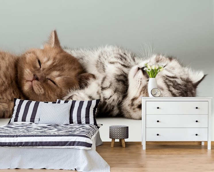 Фотошторы, фотообои, фрески - Изображение #8, Объявление #1695102